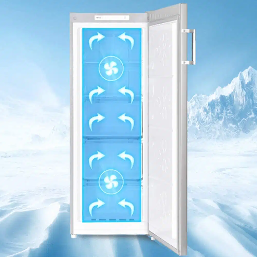 exemple de froid ventilé