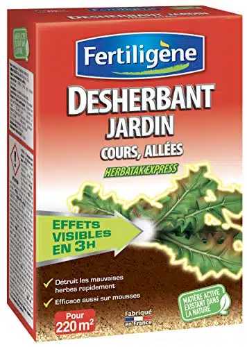 Meilleur désherbant puissant lierre