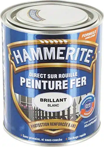 Meilleure peinture antirouille blanche