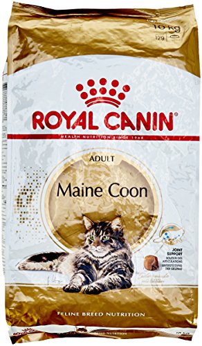 Meilleures croquettes pour chat Royal Canin