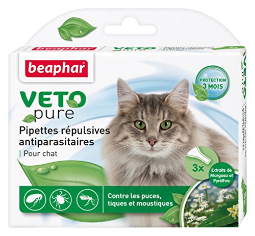 Meilleur anti-puce chat pipette