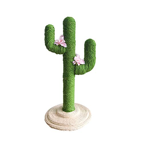 Meilleur arbre à chat cactus