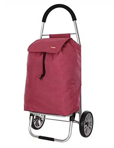 Meilleure poussette de marché 2 roues