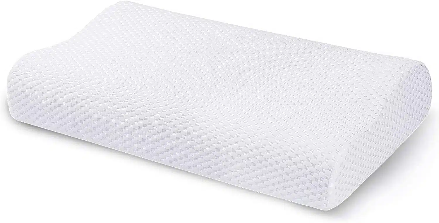 meilleurs coussins orthopédiques