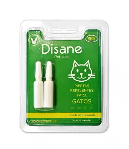 Meilleur anti-puce pour chat naturel