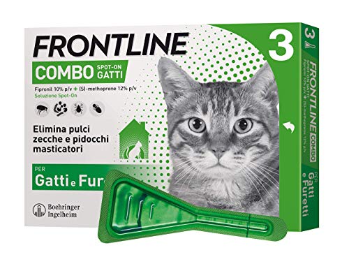 Meilleur anti-puce chat Frontline