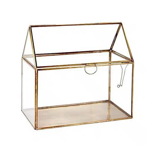 Meilleure mini serre en verre