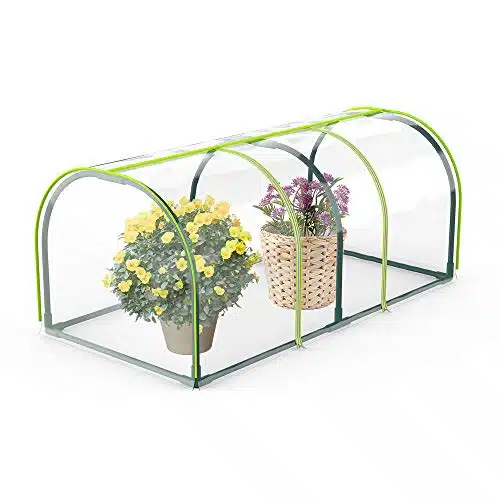 Meilleure mini serre de jardin