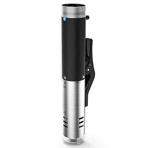 Meilleur thermoplongeur cuisson sous vide