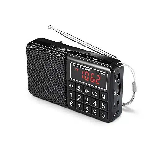 Radio portable USB WE Grandes Ondes