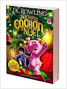 meilleurs livres jeunesse