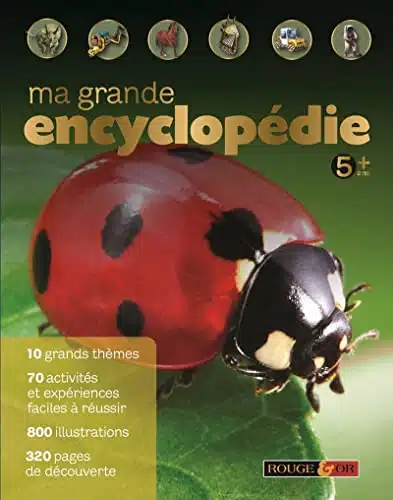 Meilleur livre enfant 8 & 10 ans